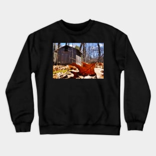 Fallen Oak Leaf Crewneck Sweatshirt